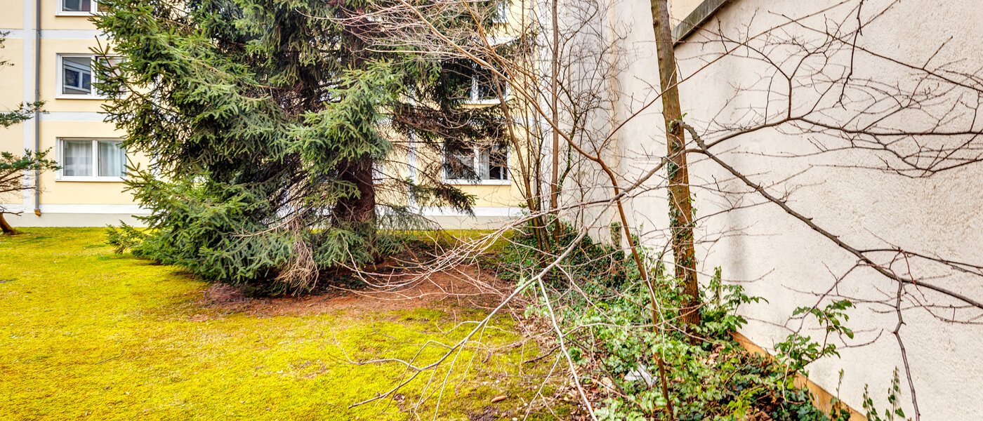 マンション München Maxvorstadt - Universitätsviertel 02 物件からの眺め 12898