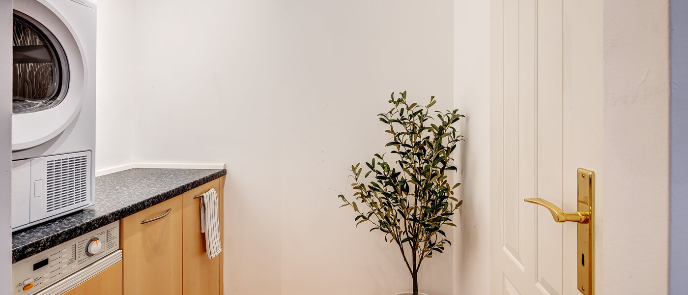 マンション Gmund am Tegernsee 02 家事室 12939