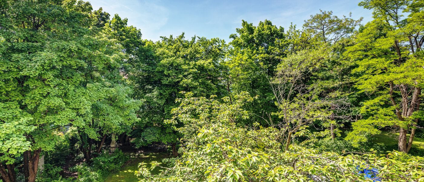 マンション München Parkstadt Schwabing 02 物件からの眺め 13011