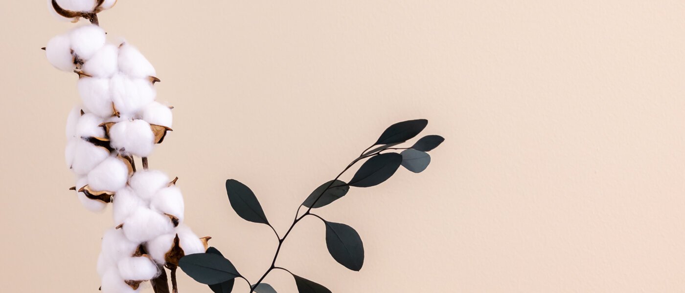 マンション München Isarvorstadt 02 2.　寝室 13026