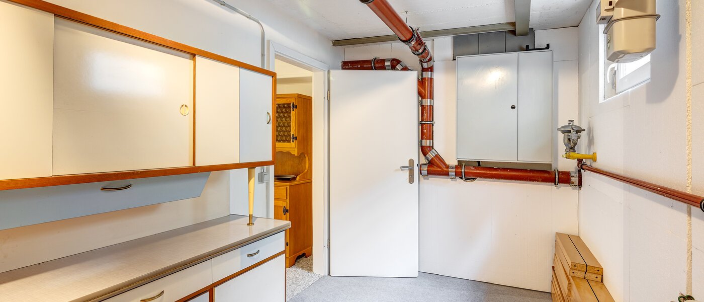 セミ・デタッチド・ハウス（一戸建てを二つに分けた家屋） Maisach 02 貯蔵室 13032