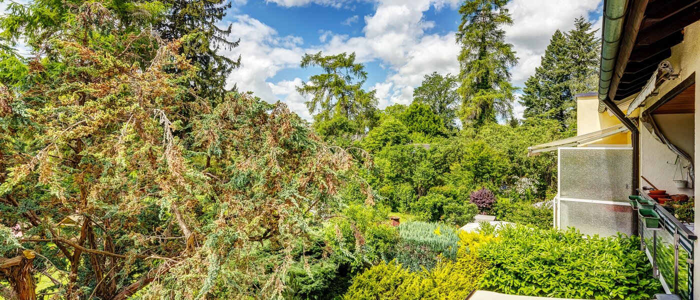 マンション München Berg am Laim 03 物件からの眺め 13039