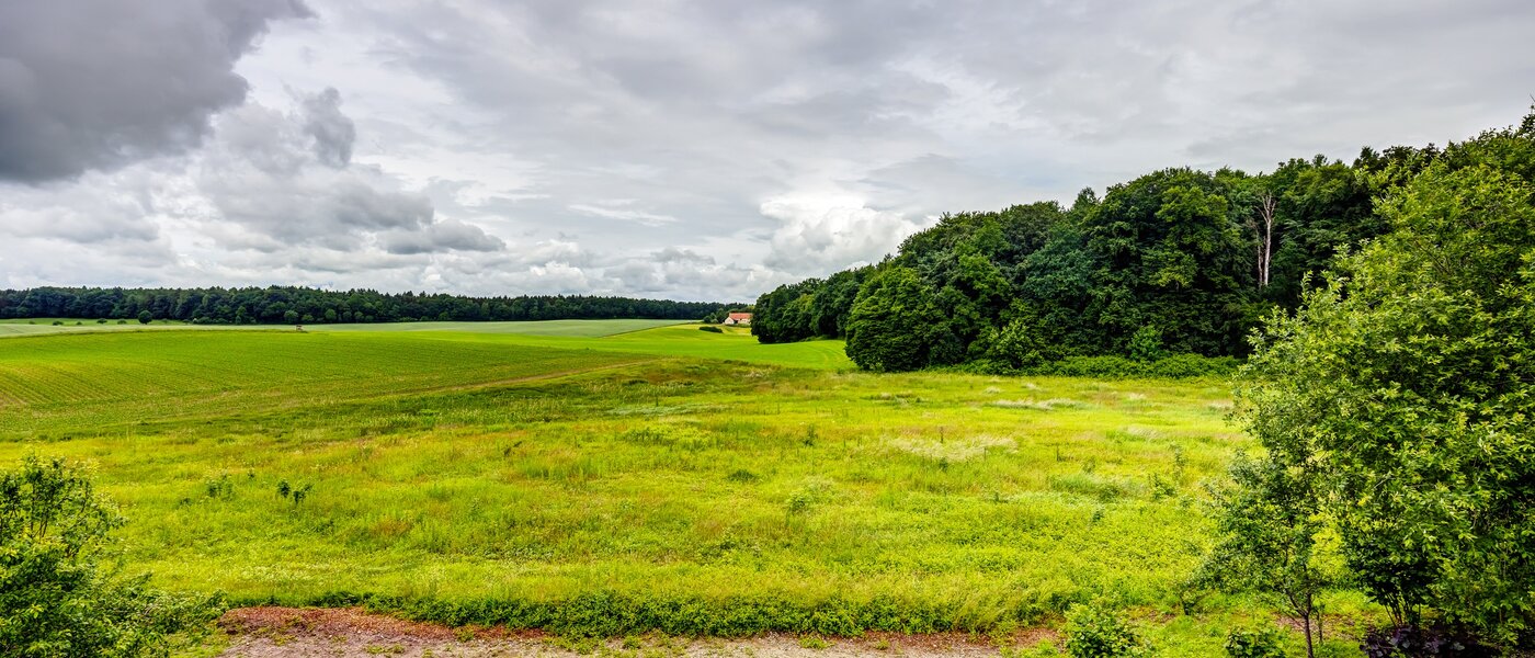 マンション Kottgeisering 01 物件からの眺め 13040