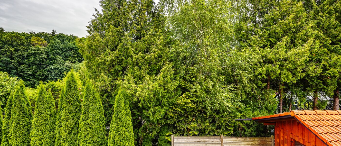 マンション Kottgeisering 04 物件からの眺め 13040