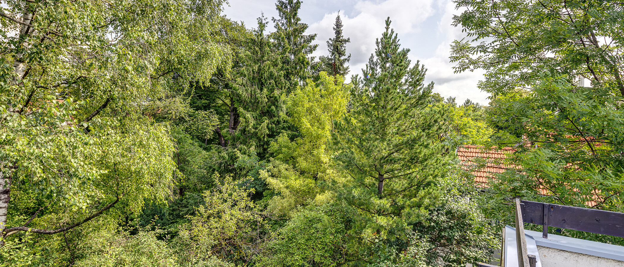 メゾネット・マンション（複数階にわたるマンション） München Pasing 04 物件からの眺め 13062