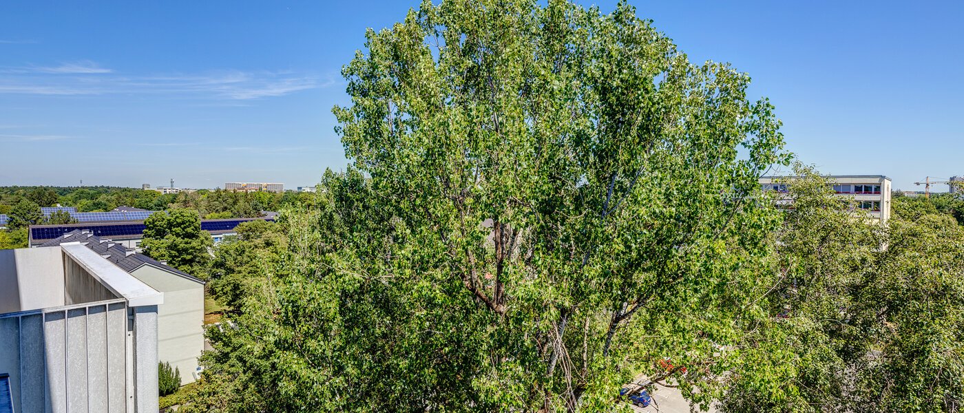 マンション München Fürstenried 02 物件からの眺め 13096