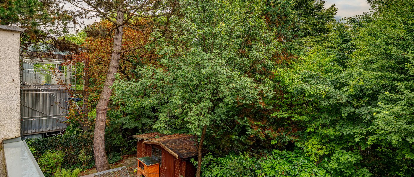 マンション München Schwabing 03 物件からの眺め 13128