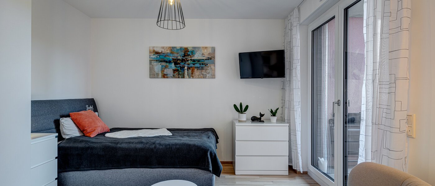 申し訳ございません。こちらの物件はすでに貸し出されました。