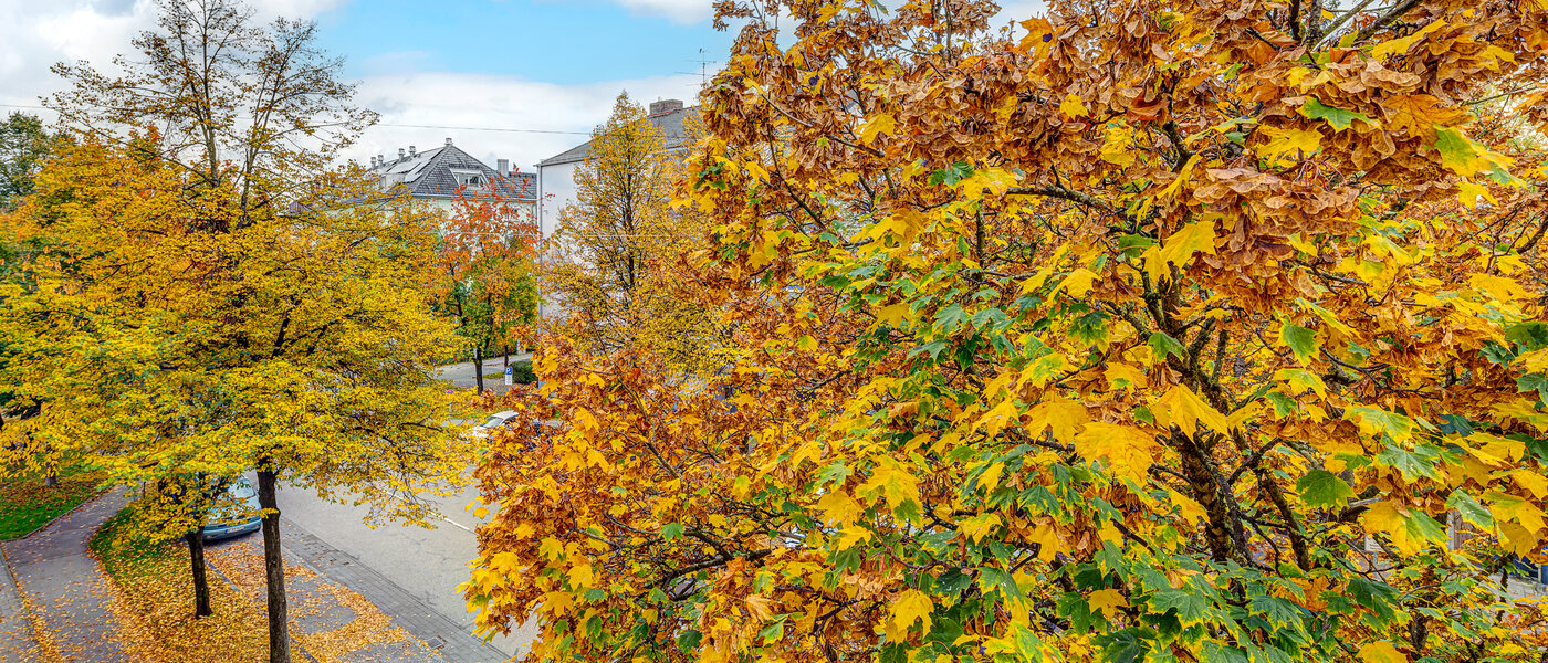 マンション München Thalkirchen 01 物件からの眺め 13192