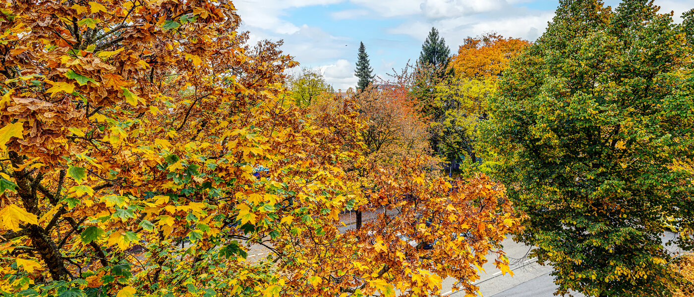 マンション München Thalkirchen 04 物件からの眺め 13192