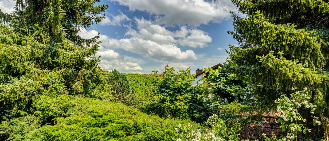 アティック・フラット（屋根裏） Inning am Ammersee 03 物件からの眺め 13224