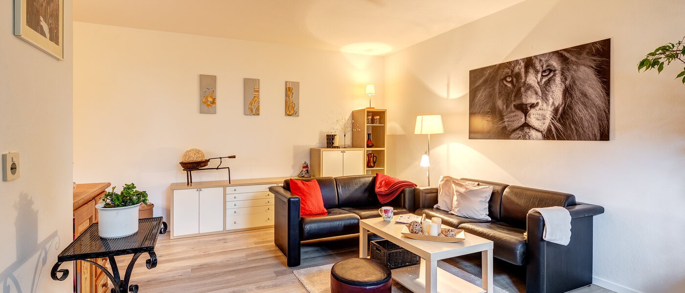 申し訳ございません。こちらの物件はすでに貸し出されました。