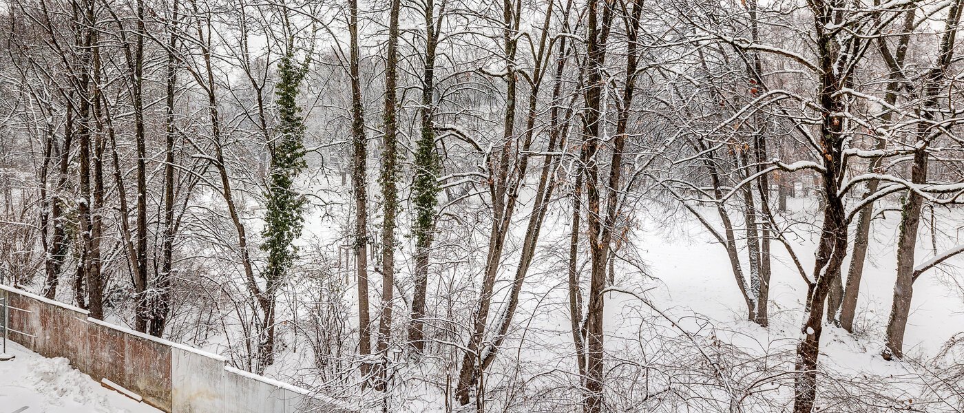 アティック・フラット（屋根裏） München Giesing 01 物件からの眺め 13269