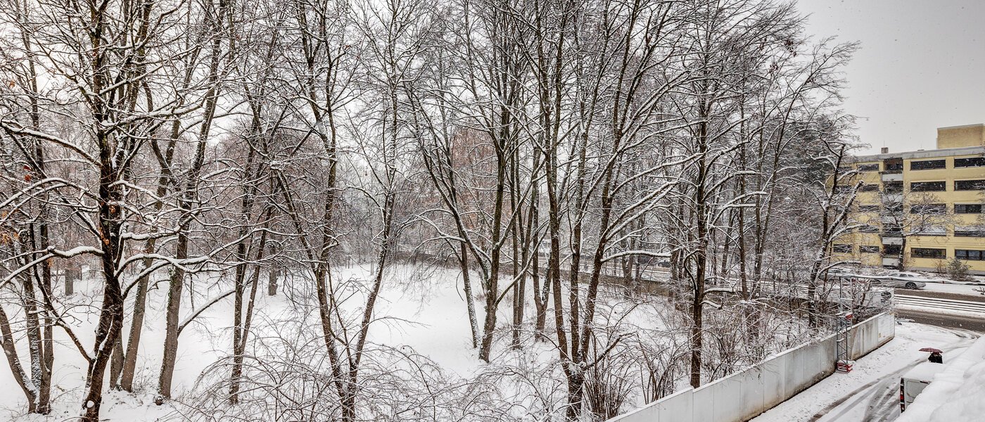 アティック・フラット（屋根裏） München Giesing 02 物件からの眺め 13269