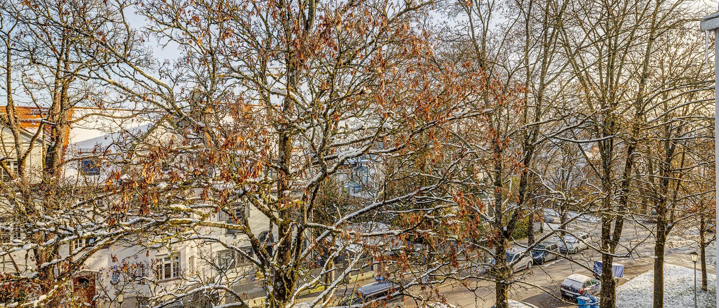 マンション München Nymphenburg 02 物件からの眺め 13273