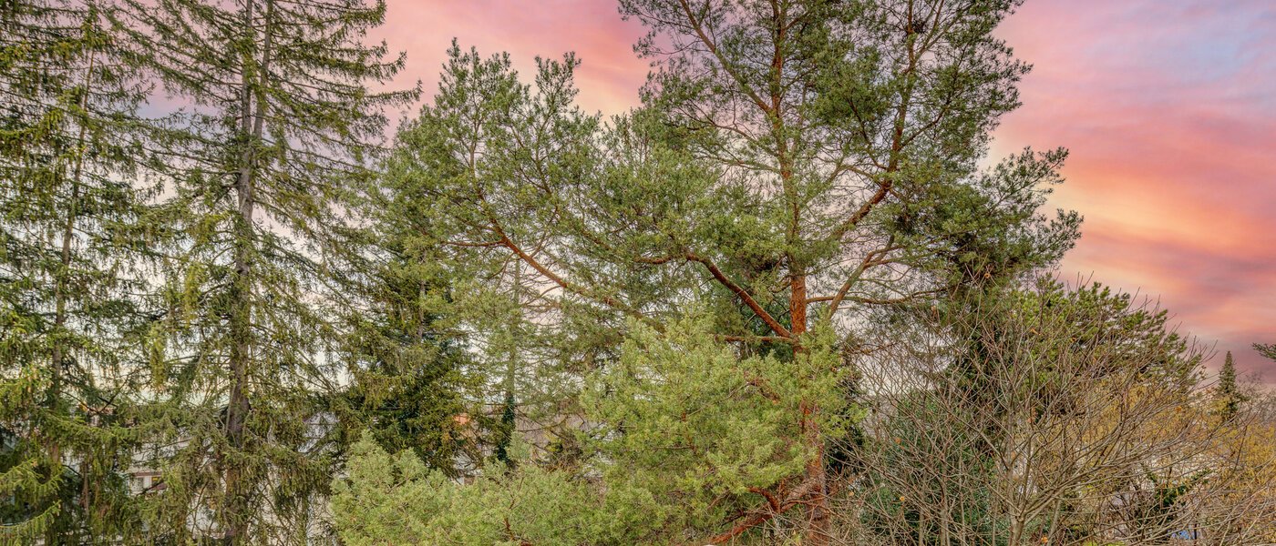 ペントハウス München Moosach 03 物件からの眺め 13292