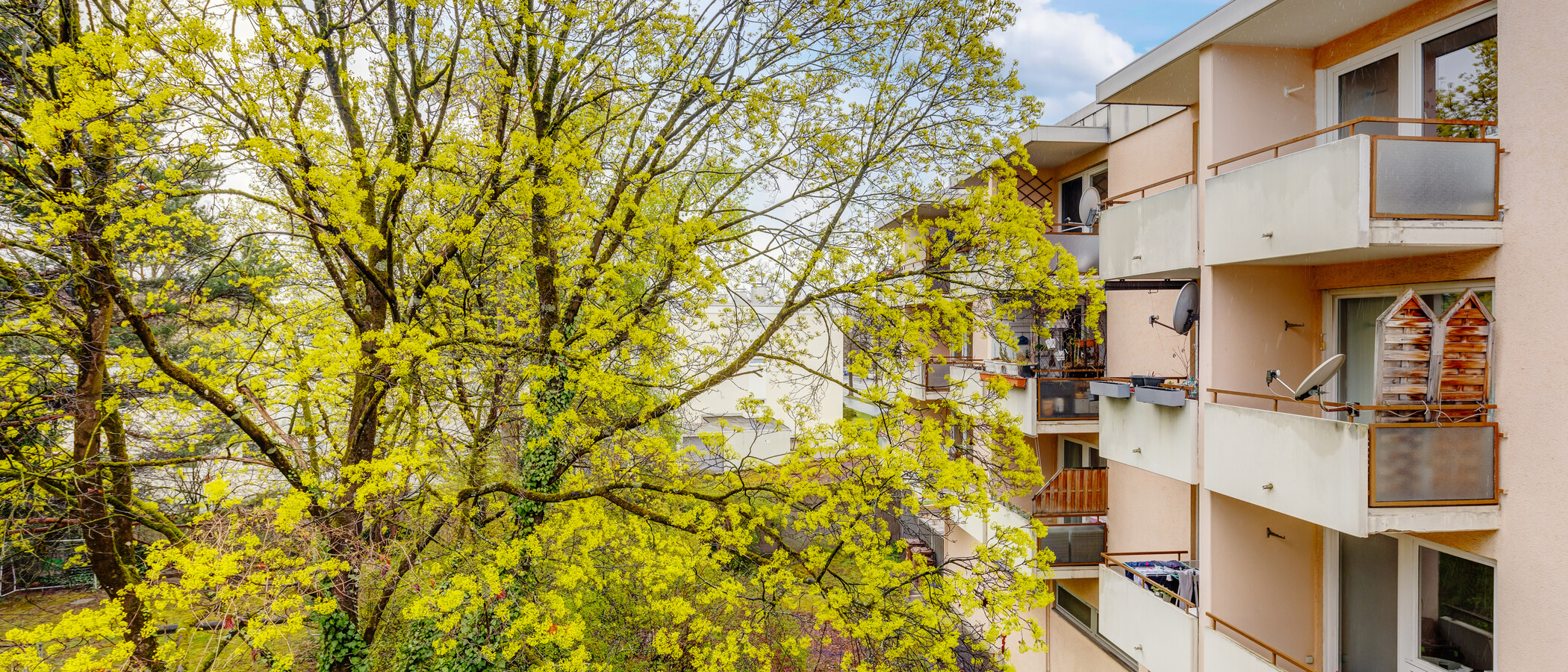 マンション München Nymphenburg 02 物件からの眺め 13438