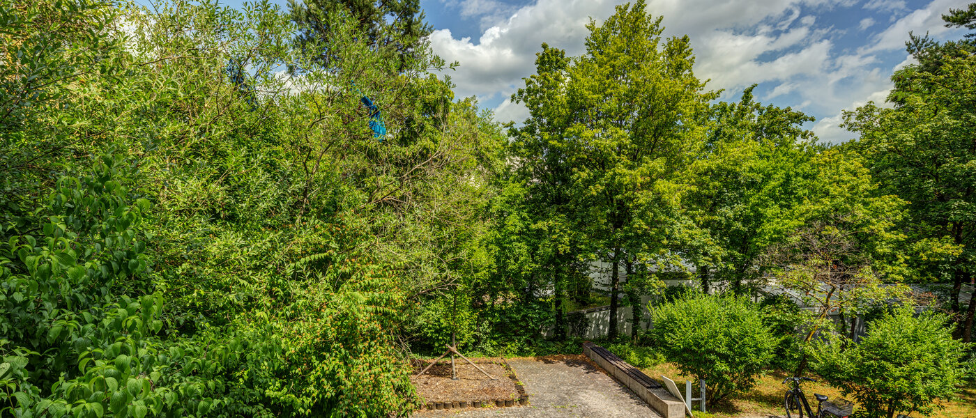 マンション München Untermenzing 01 物件からの眺め 13539