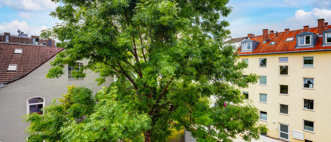 マンション München Milbertshofen 01 物件からの眺め 13553