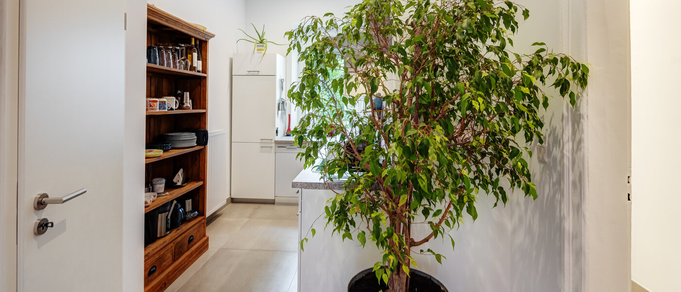 マンション München Mittersendling 03 玄関入り口 13595