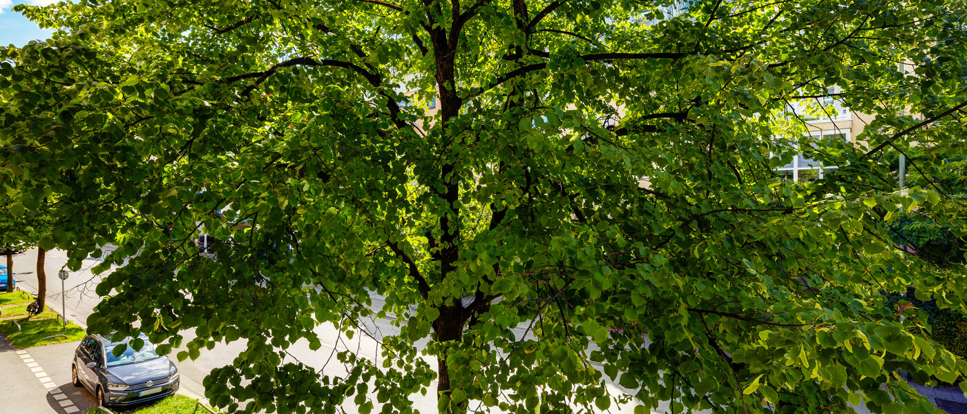 マンション München Milbertshofen 02 物件からの眺め 13602