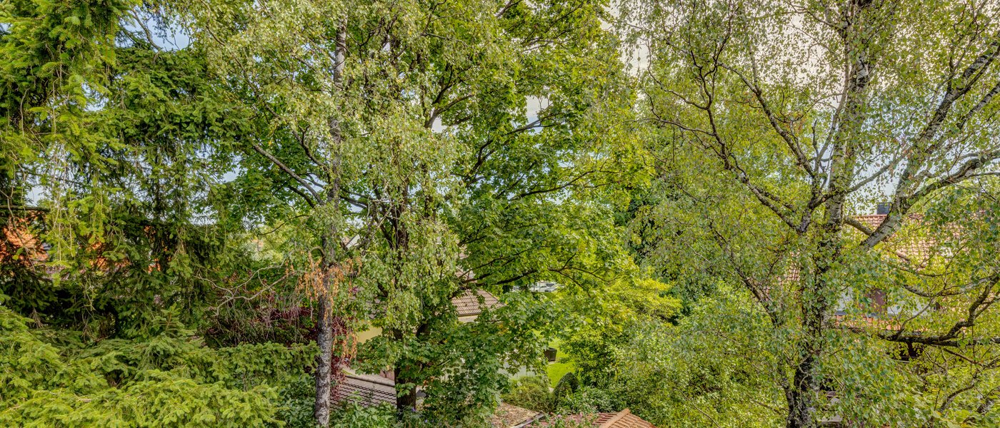 アティック・フラット（屋根裏） München Waldtrudering 01 物件からの眺め 13621