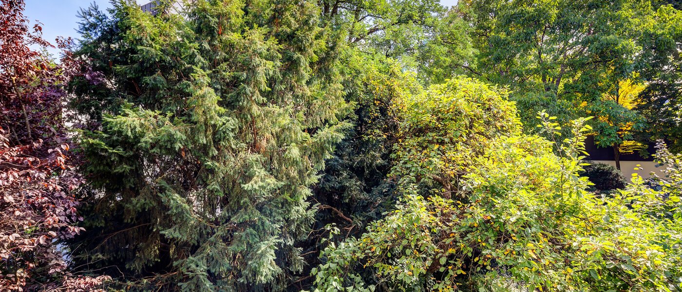 マンション München Altbogenhausen 04 物件からの眺め 13633