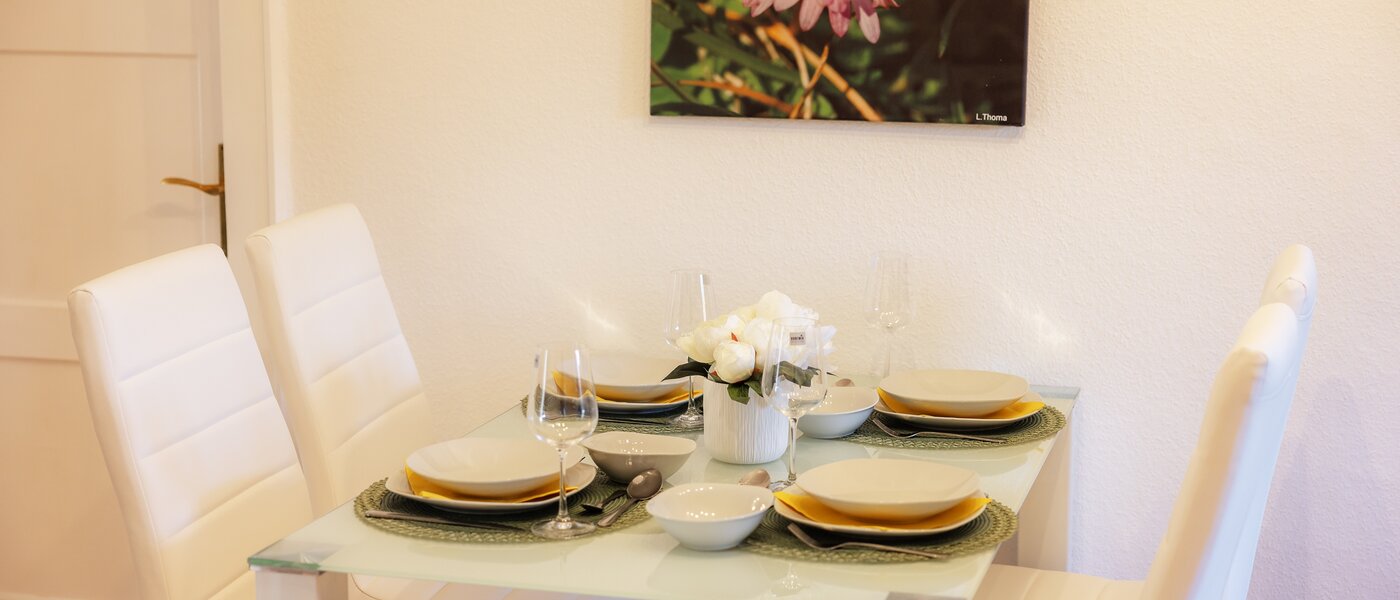 アティック・フラット（屋根裏） München Nymphenburg 04 玄関入り口 13654