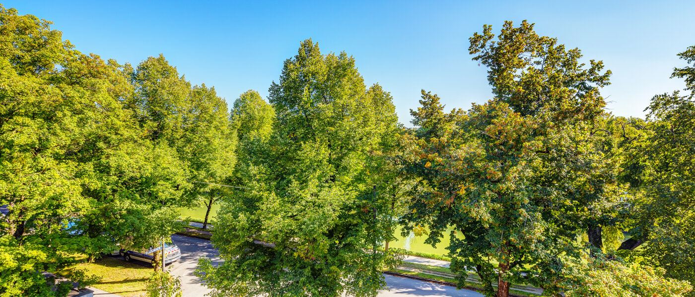 アティック・フラット（屋根裏） München Nymphenburg 02 物件からの眺め 13654