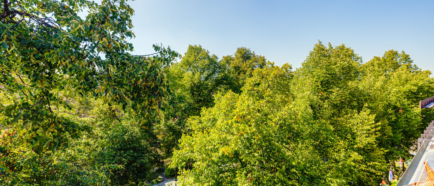 ペントハウス München Ramersdorf 04 物件からの眺め 13657