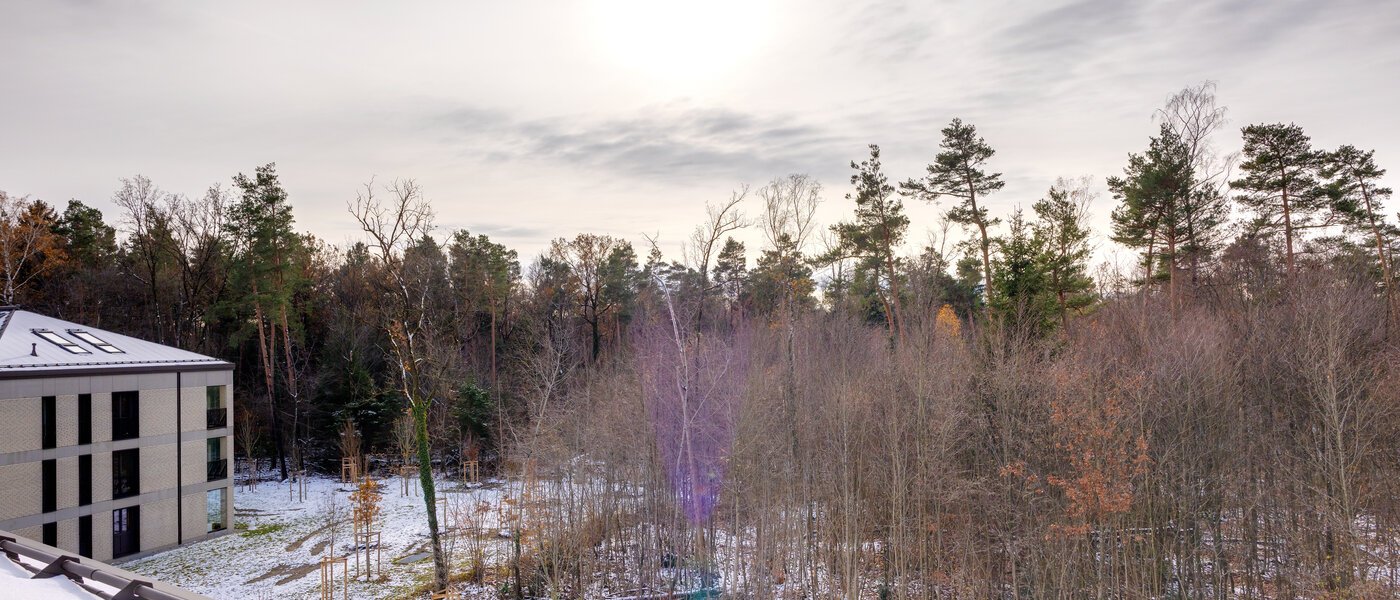 アティック・フラット（屋根裏） Haar 01 物件からの眺め 13695