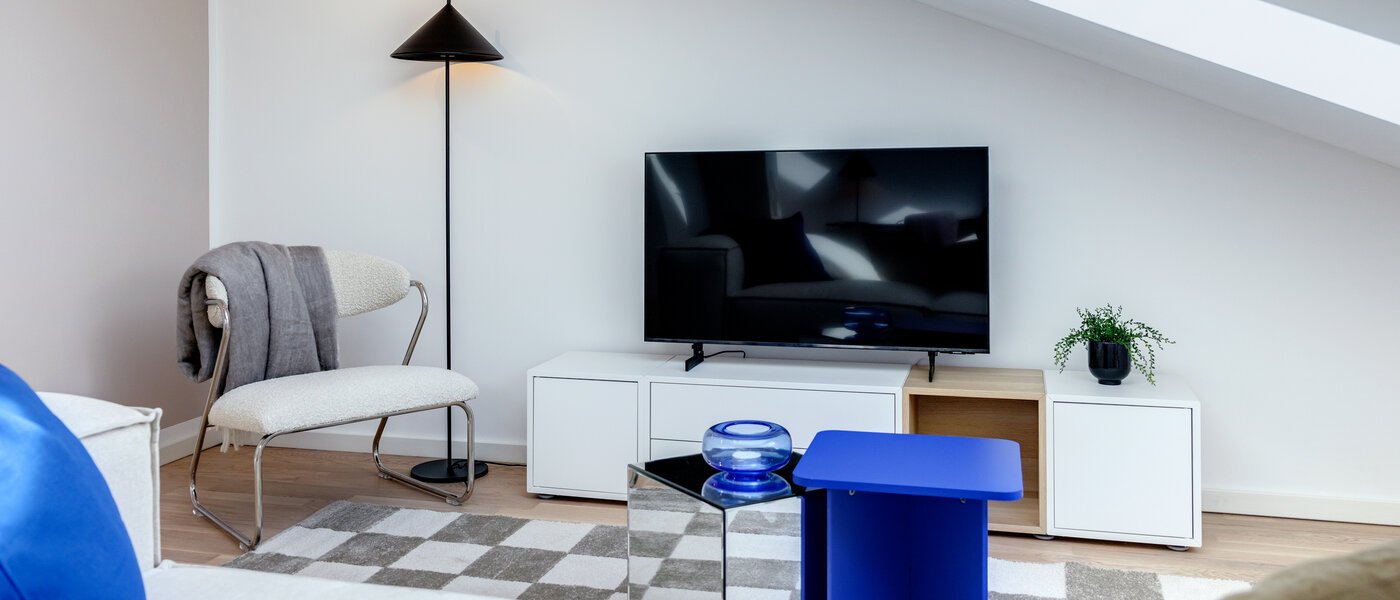 アティック・フラット（屋根裏） Haar 04 リビングエリア 13695