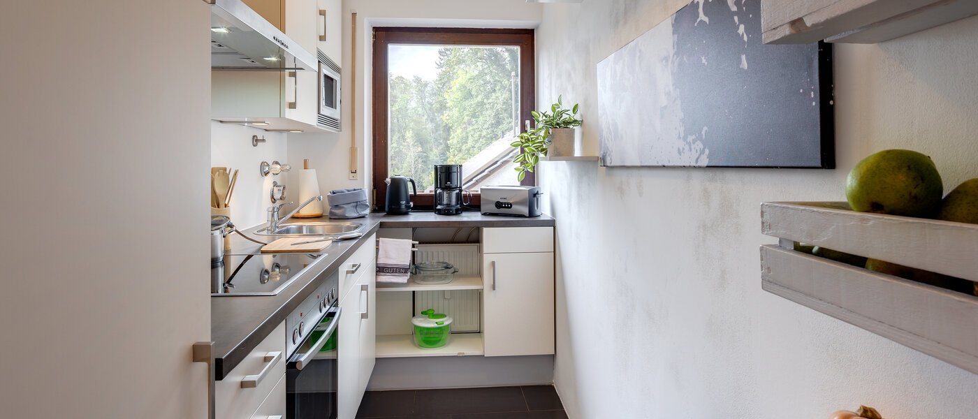 アティック・フラット（屋根裏） Eching 01 キッチン 13716