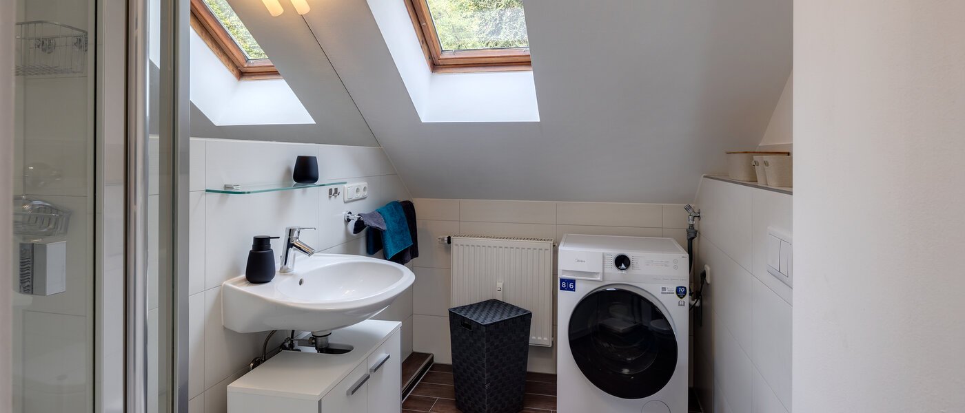 アティック・フラット（屋根裏） Eching 01 浴室 13716