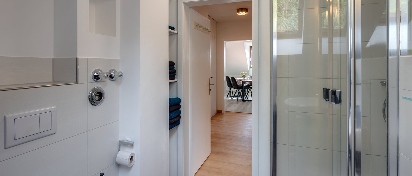 アティック・フラット（屋根裏） Eching 02 浴室 13716