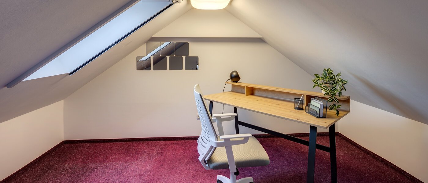 アティック・フラット（屋根裏） Eching 01 特記事項 13716