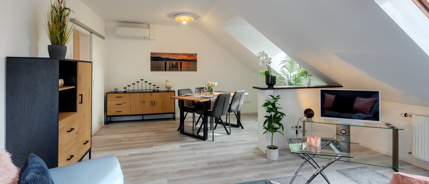 アティック・フラット（屋根裏） Eching 03 リビングエリア 13716