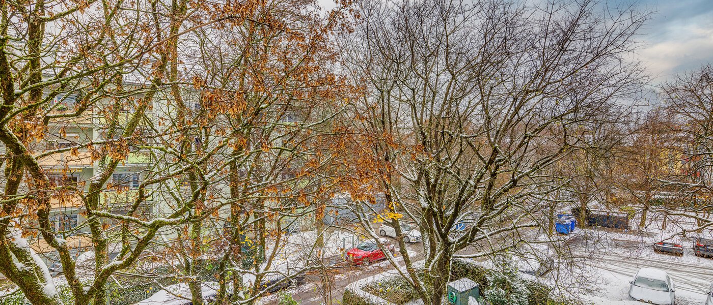 マンション München Untermenzing 04 物件からの眺め 13759