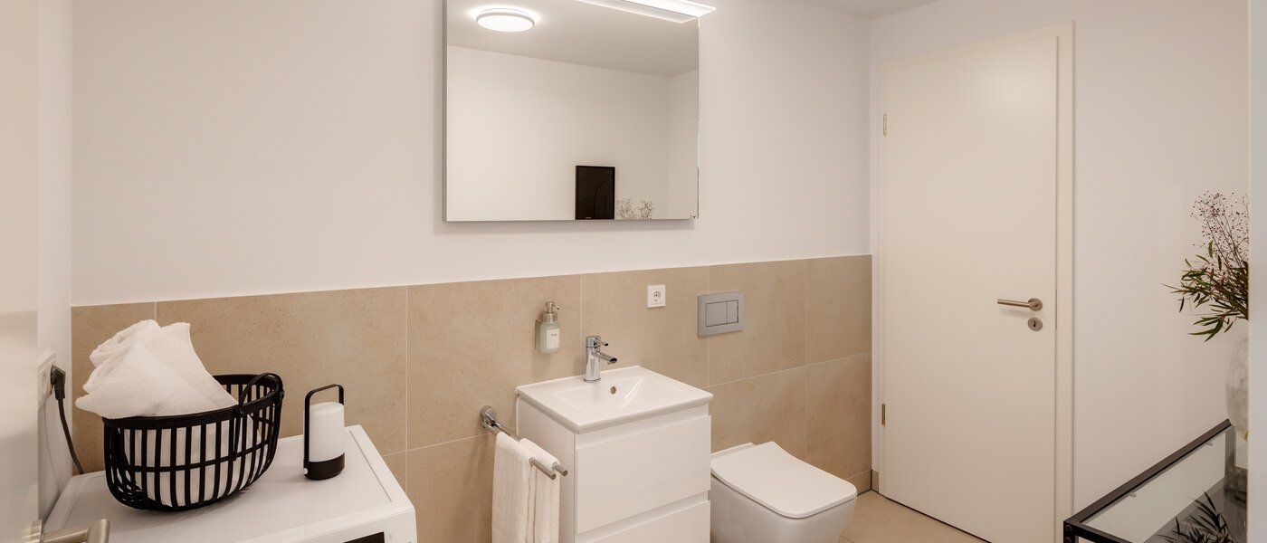 マンション München Haidhausen 01 ゲスト用 WC 13881