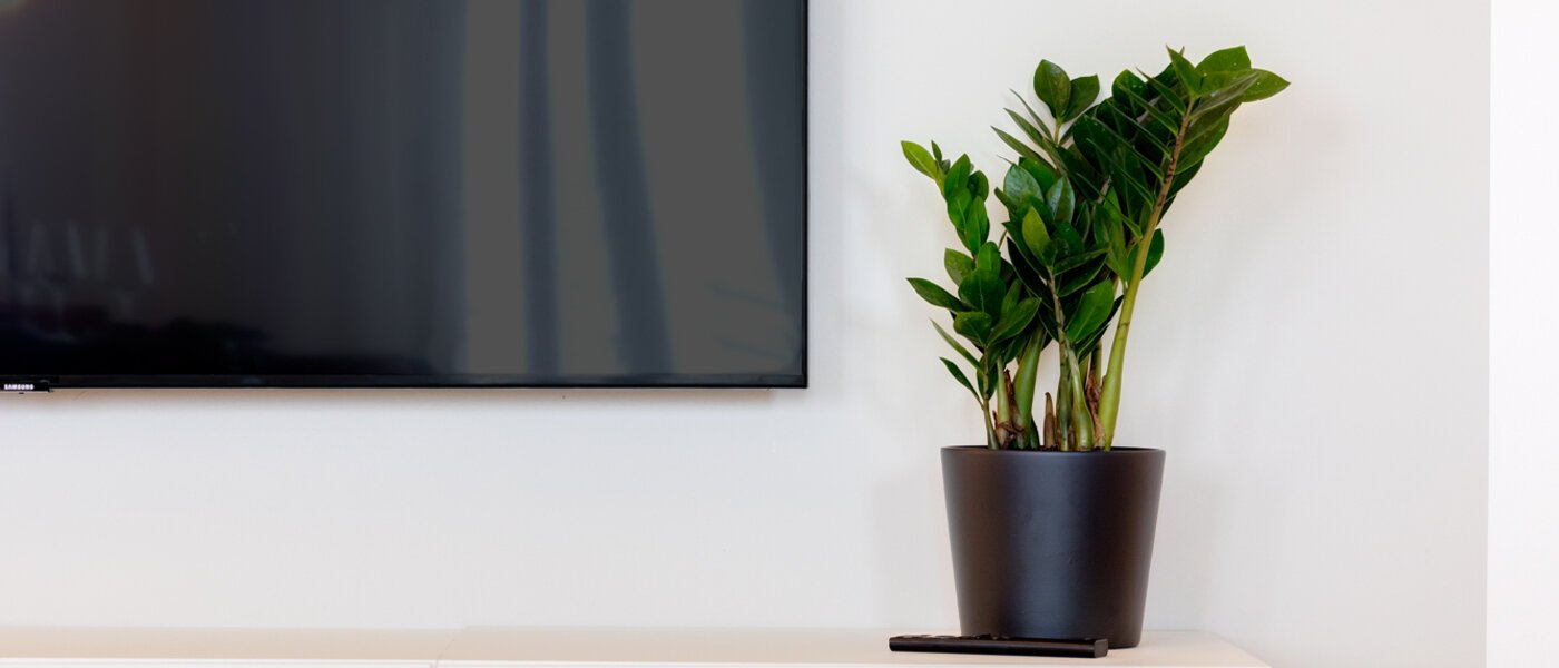 マンション München Haidhausen 04 リビングエリア 13881