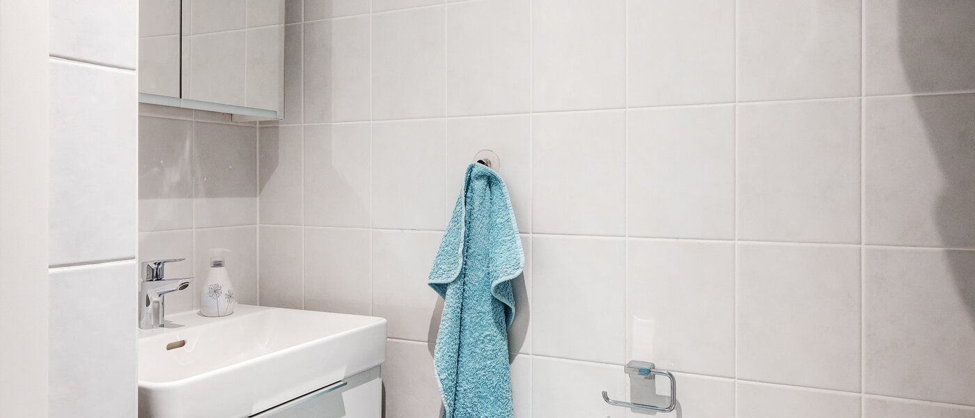 マンション Gmund am Tegernsee 03 浴室 13882