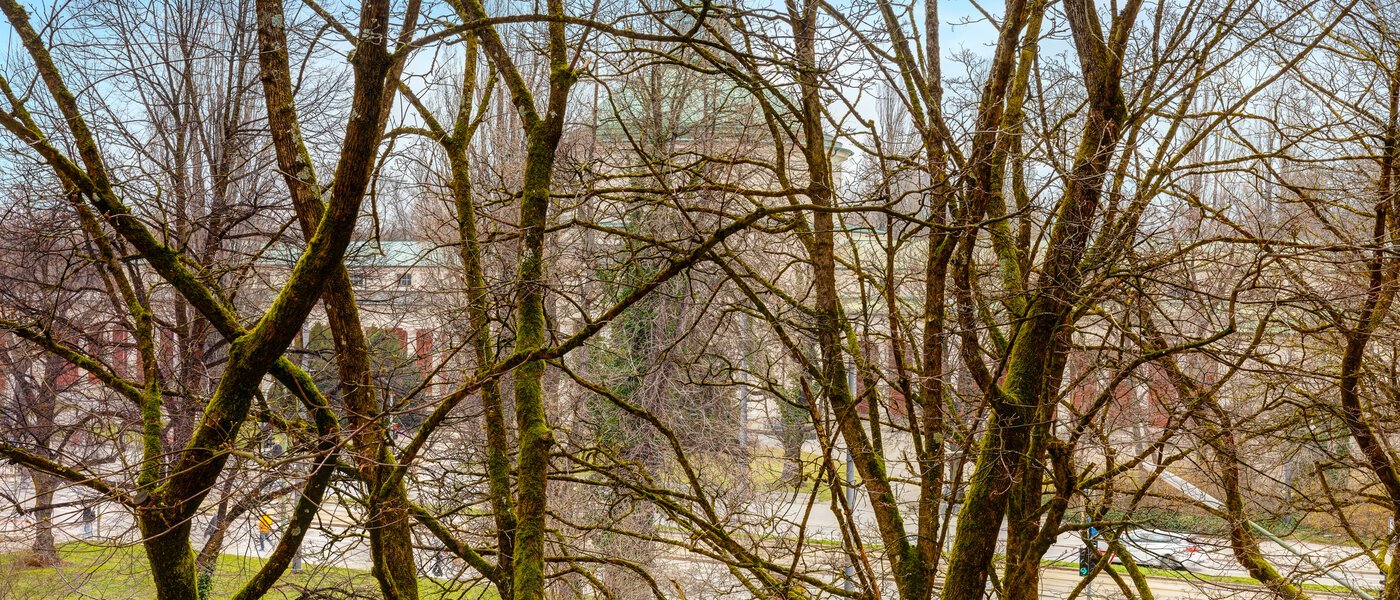 マンション München Obergiesing 03 物件からの眺め 13886