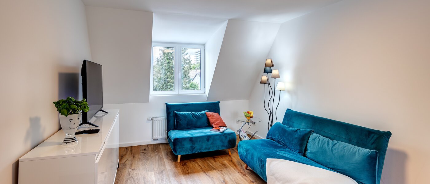 申し訳ございません。こちらの物件はすでに貸し出されました。