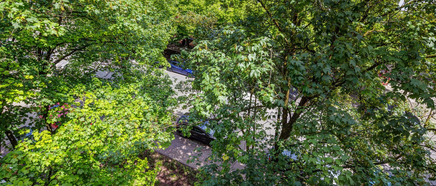 マンション München Lehel 02 物件からの眺め 13986