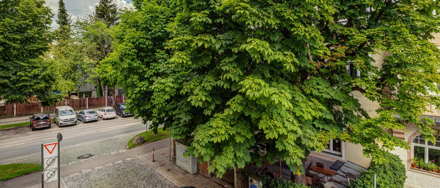 マンション München Thalkirchen 02 物件からの眺め 14008