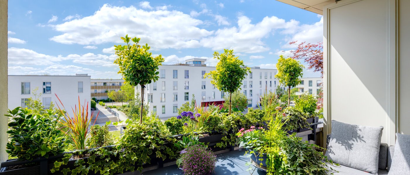 申し訳ございません。こちらの物件はすでに貸し出されました。