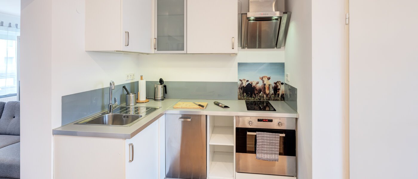 マンション München Forstenried 01 キッチン 14109