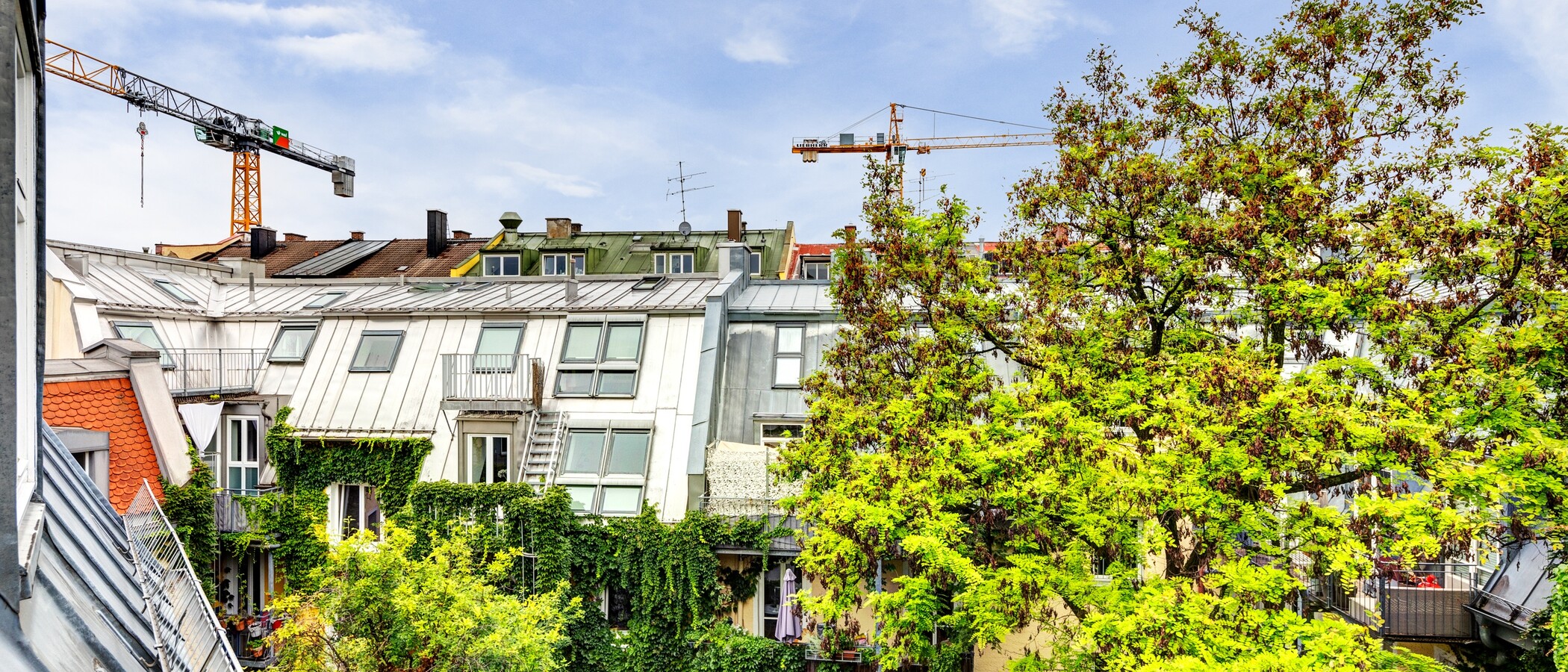 マンション München Haidhausen 04 物件からの眺め 14128