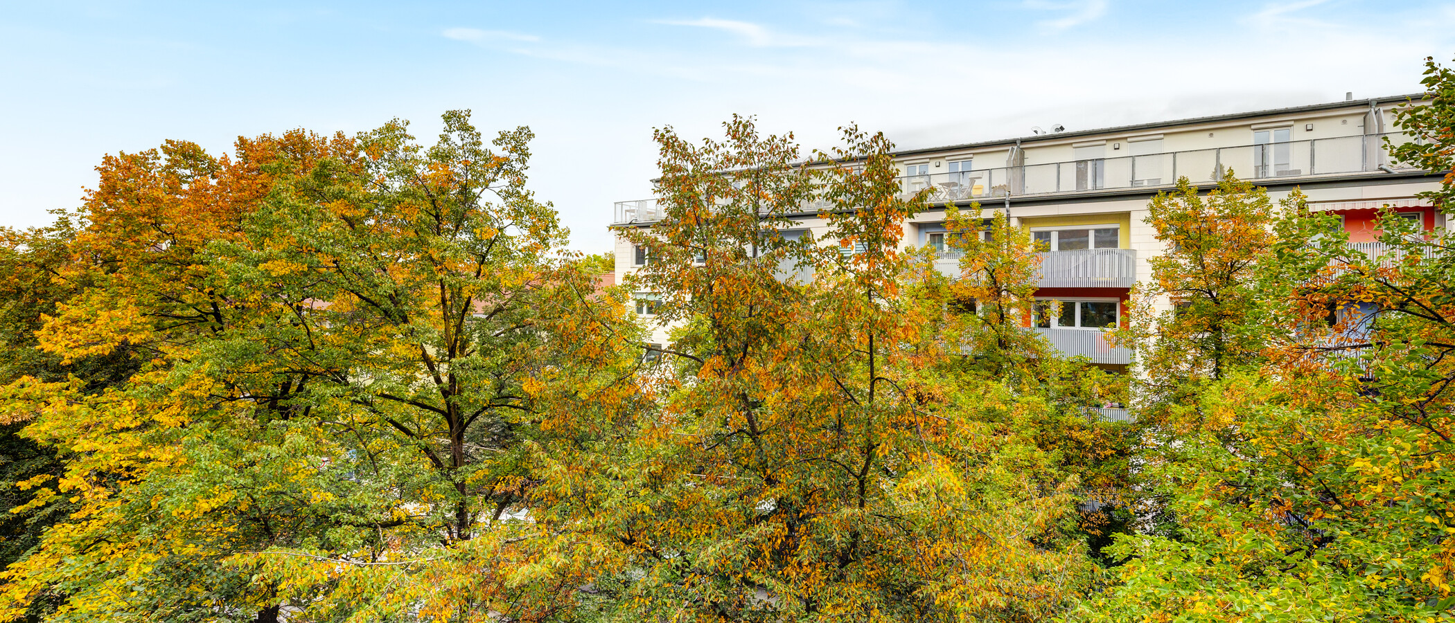 マンション München Bogenhausen 03 物件からの眺め 14181
