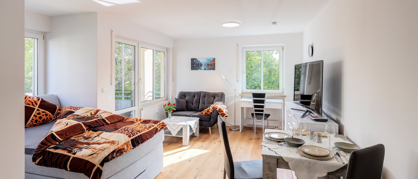 申し訳ございません。こちらの物件はすでに貸し出されました。